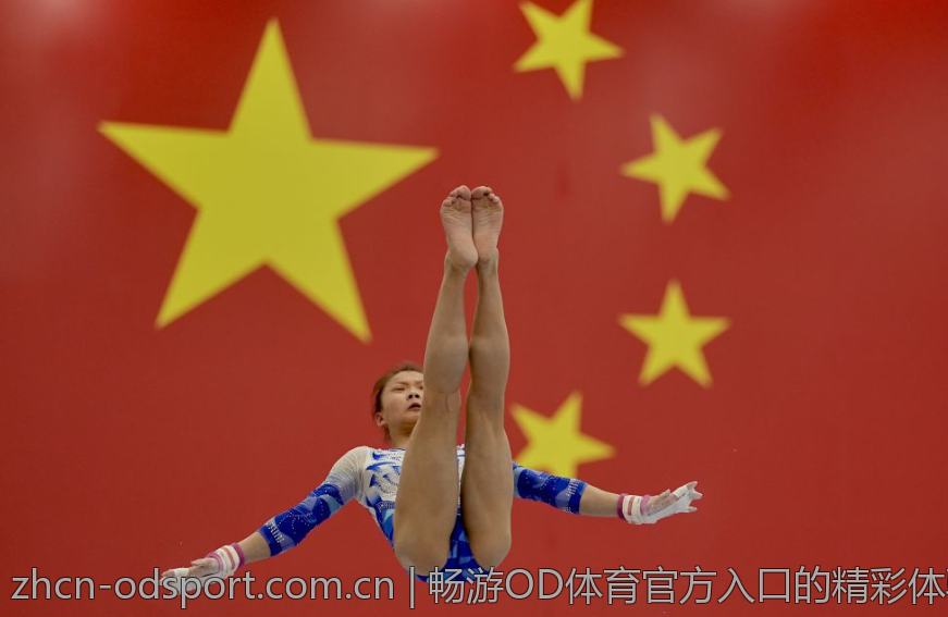 畅游OD体育官方入口的精彩体验